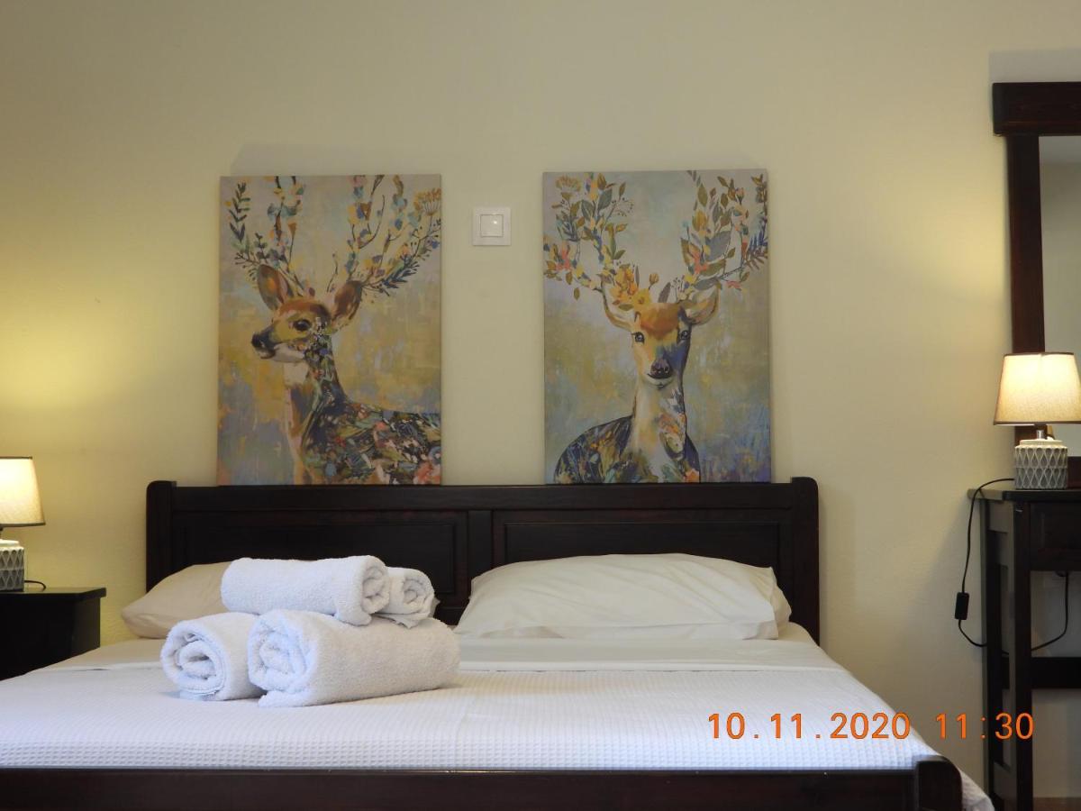 Sophia Limeni Apartments And Studios ภายนอก รูปภาพ
